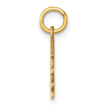 14K Graduation Cap and Diploma 2025 Charm