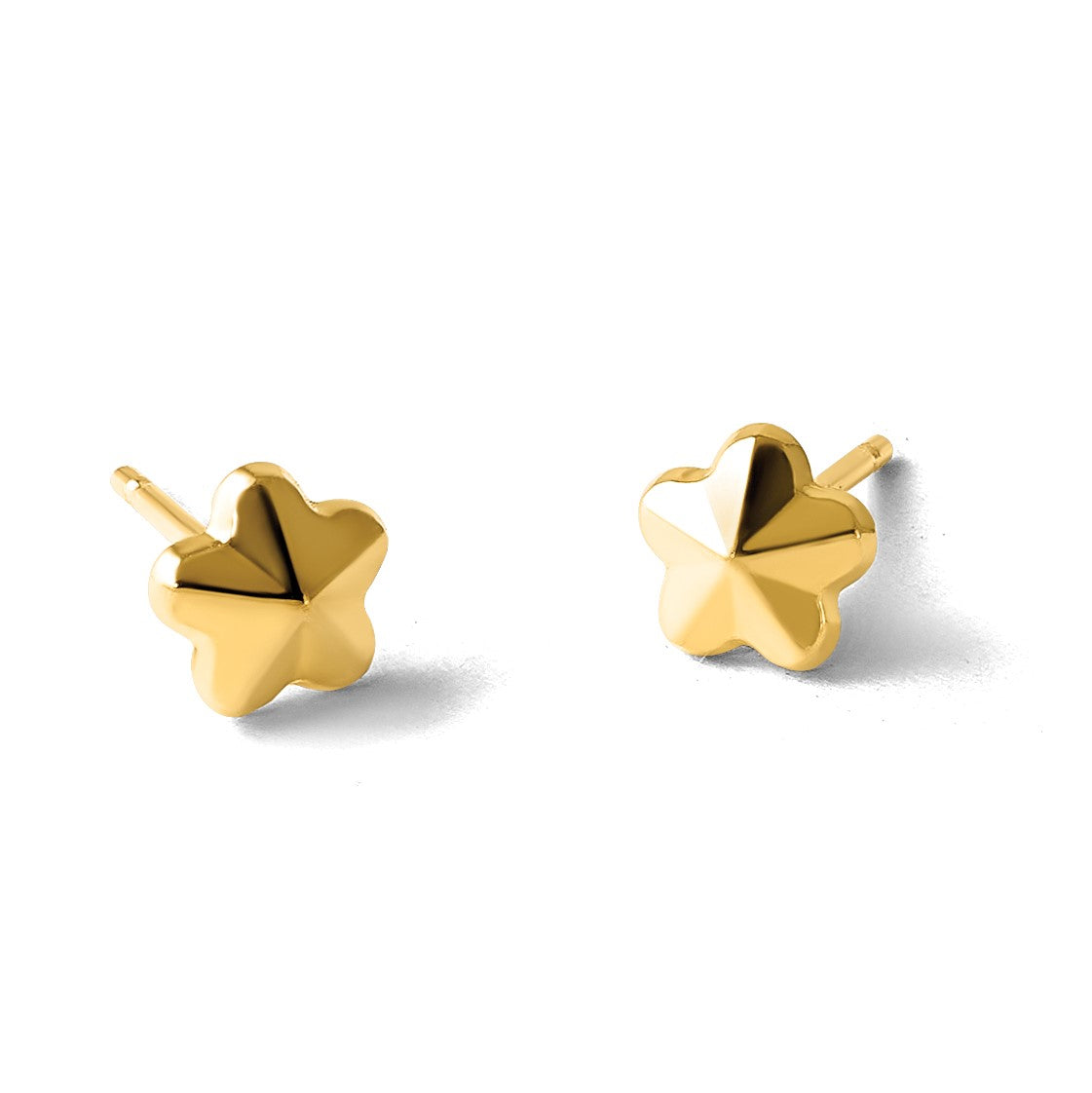 14K Polished Flower Post Earrings