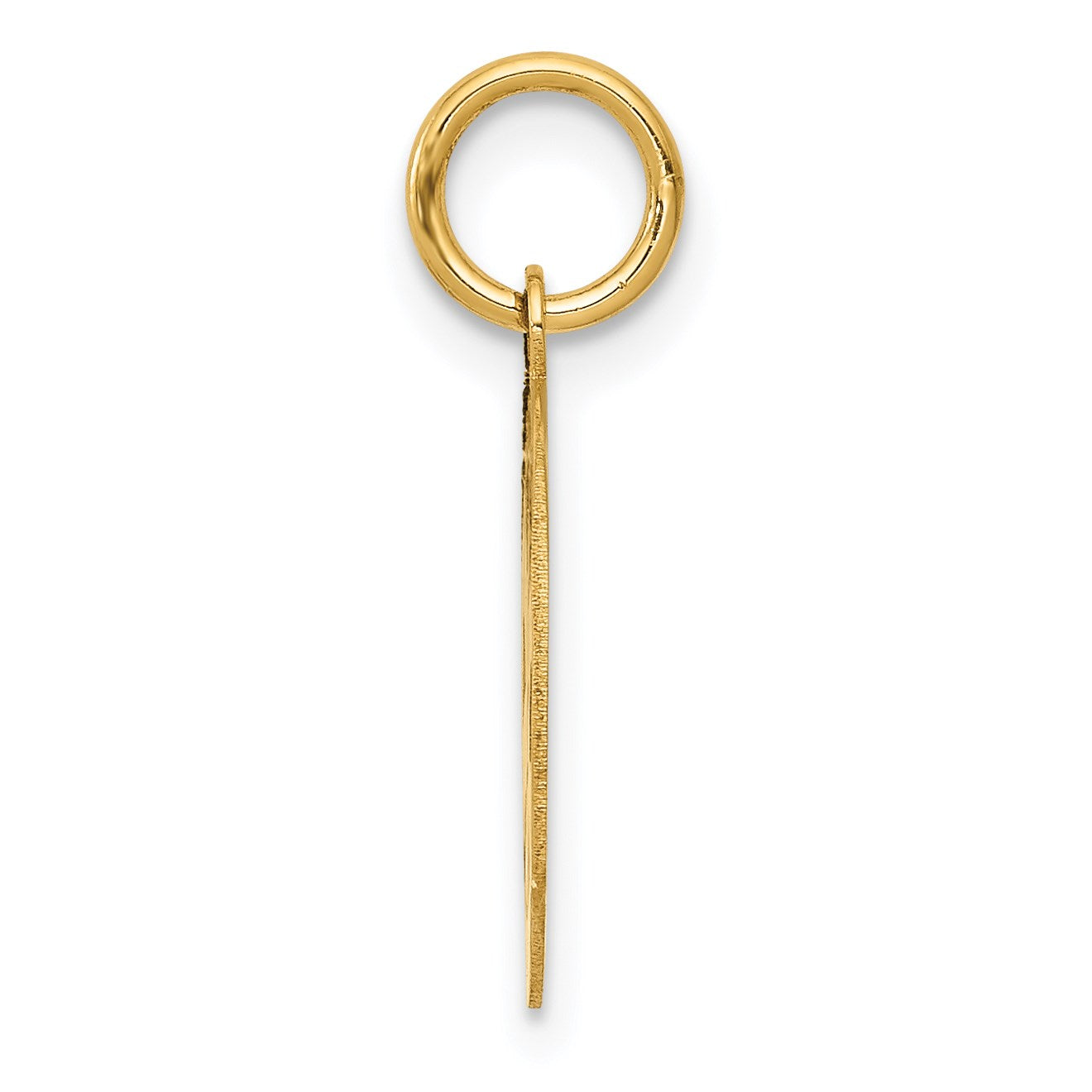 14k Small PARAMEDIC Medical Charm