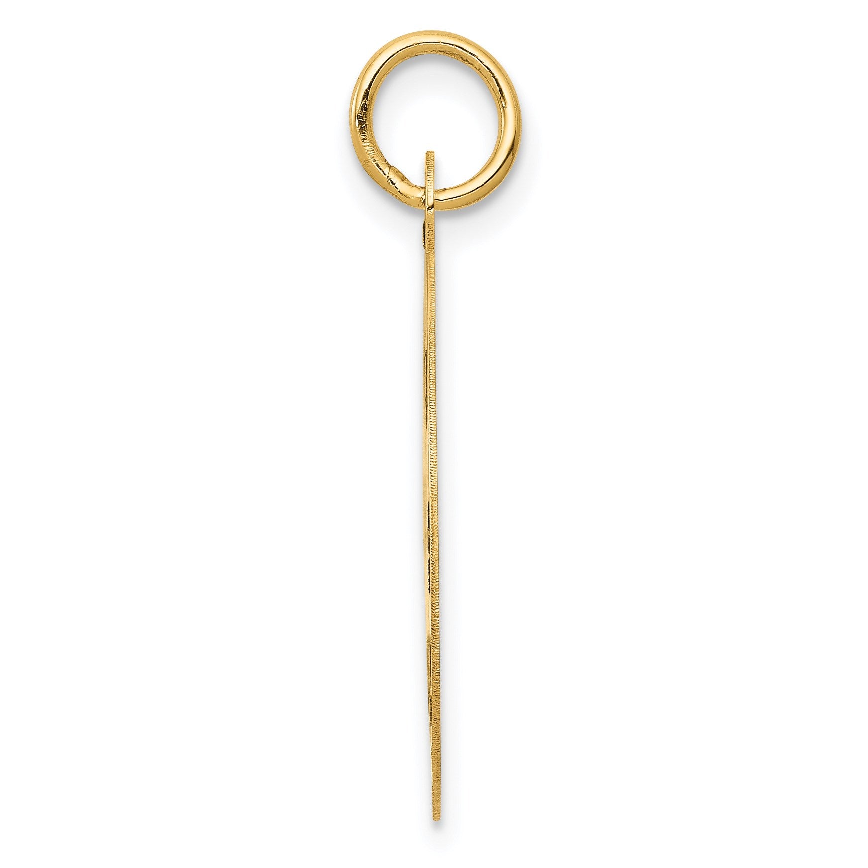 14k Medium PARAMEDIC Medical Pendant