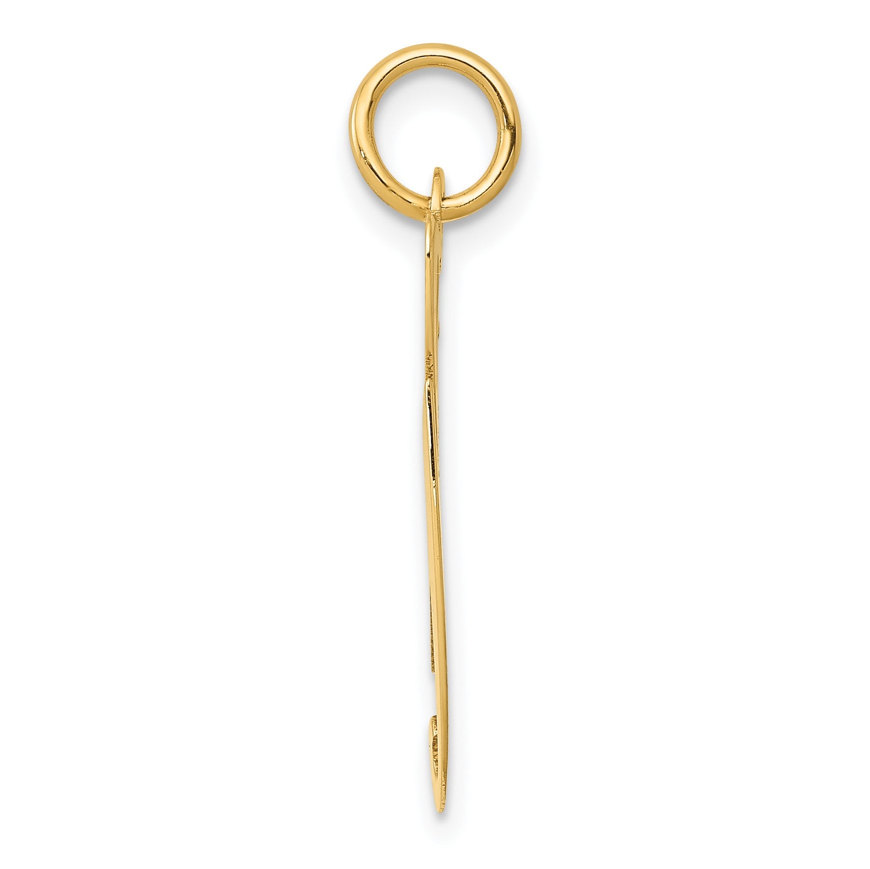 14k Large Fancy Script Letter G Initial Charm