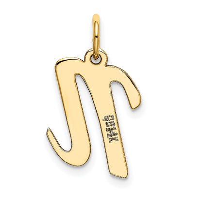 14k Medium Script Letter N Initial Charm