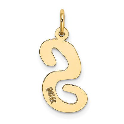 14k Large Script Letter S Initial Charm