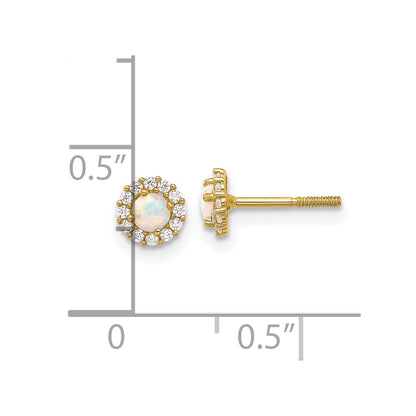 14K Polished CZ and Created Opal Circle Screwback Post Earrings