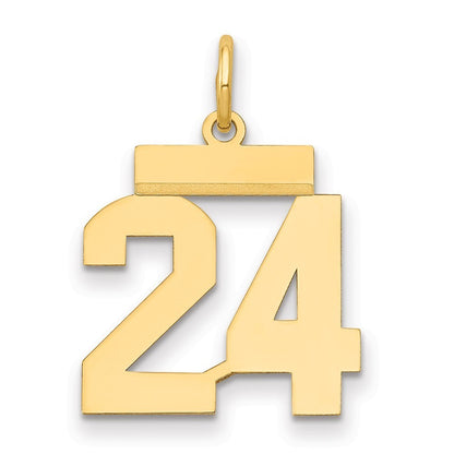 14k Yellow Gold Small Polished Number 24 Charm Pendant