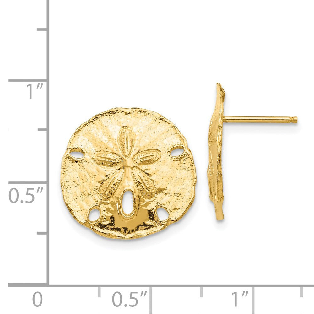 14k Yellow Gold Large Sanddollar Stud Earrings