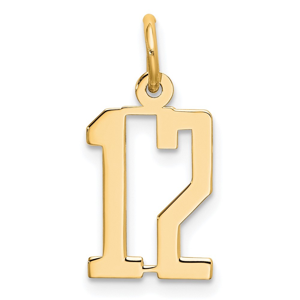 14k Yellow Gold Small Elongated Number 12 Charm Pendant
