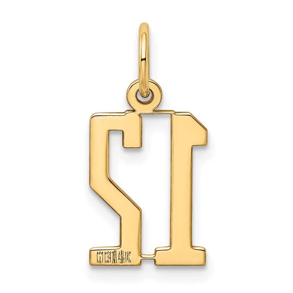 14k Yellow Gold Small Elongated Number 12 Charm Pendant