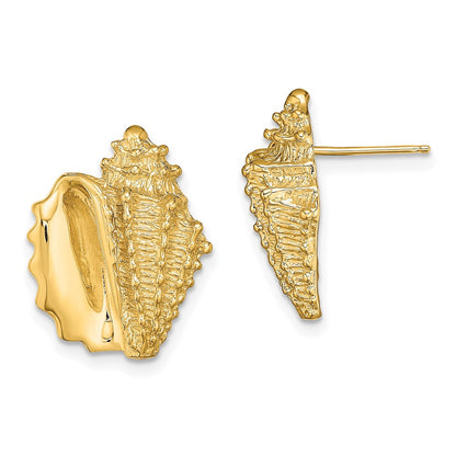 14k Yellow Gold 2-D Conch Shell Stud Earrings
