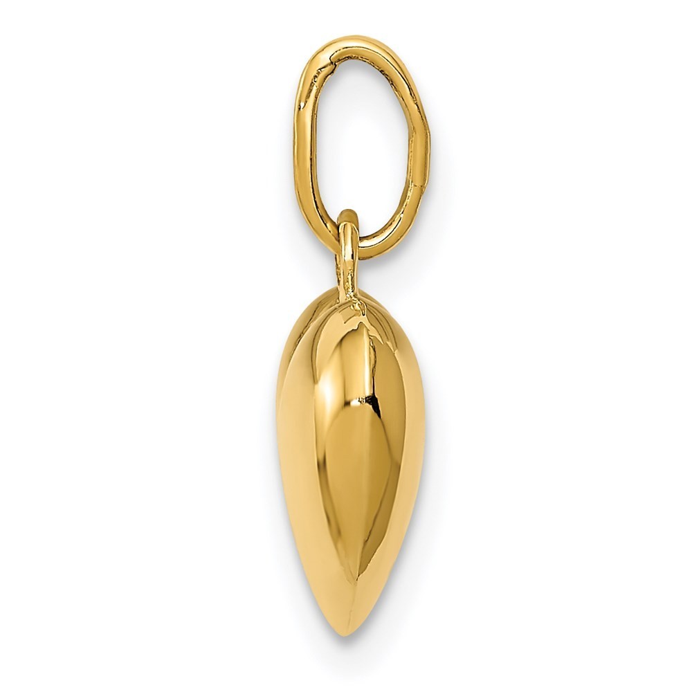 14k Yellow Gold Polished 3-D Puffed Heart Charm Pendant
