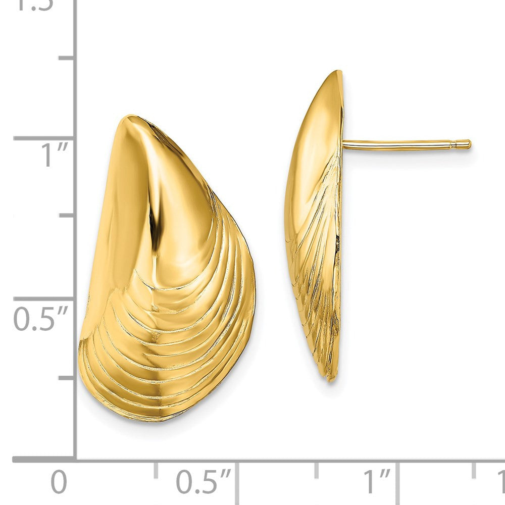 14k Yellow Gold Polished Mussel Shell Stud Earrings