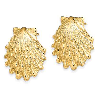 14k Yellow Gold Lion's Paw Shell Stud Earrings