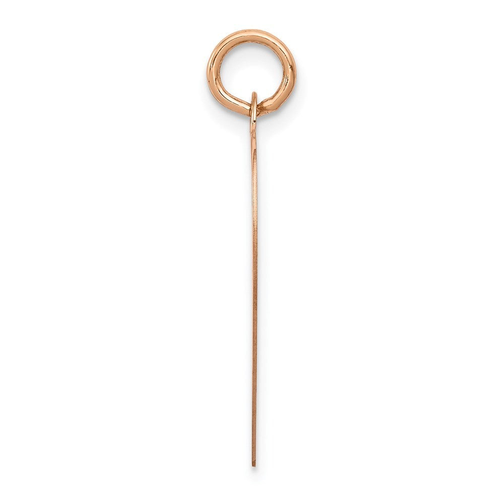 14K Rose Gold Polished Heart Shaped Disc Pendant