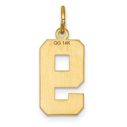 14k Yellow Gold Medium Diamond-cut Number 9 Charm Pendant