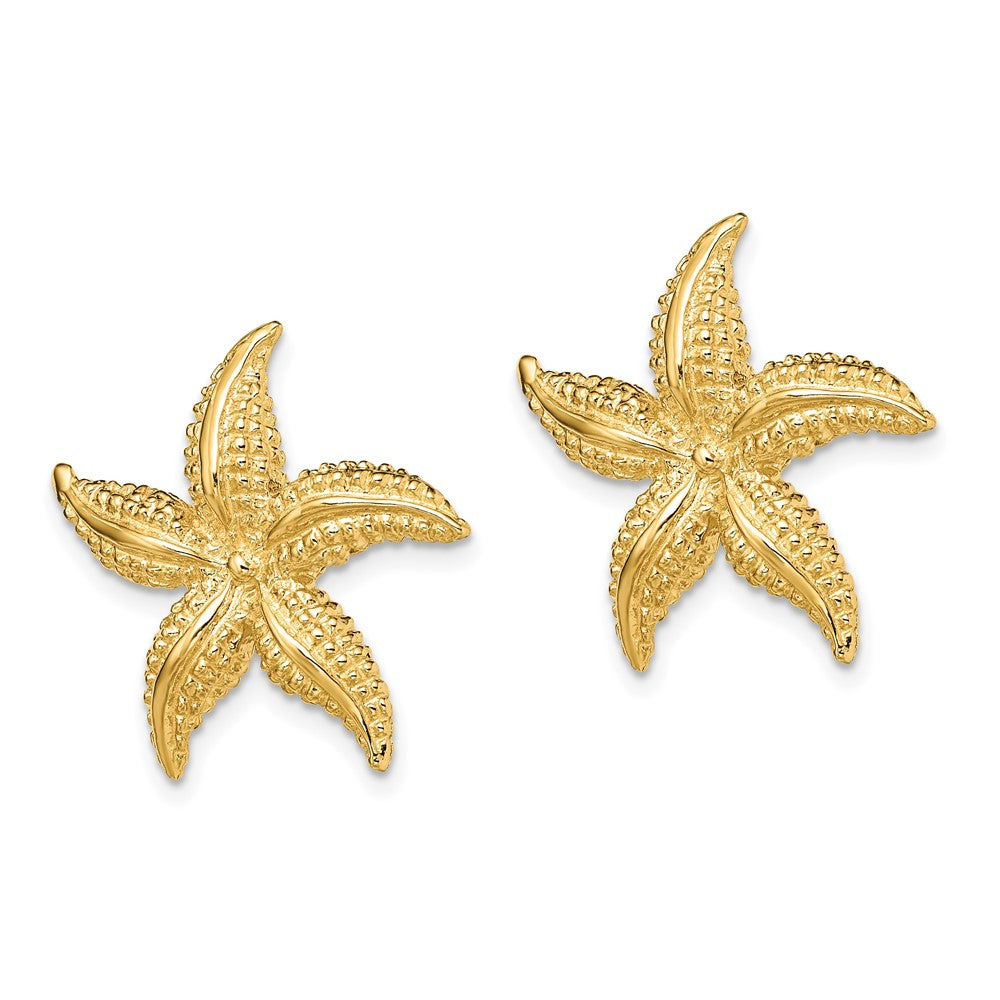 14k Yellow Gold 2-D Polished and Textured Starfish Stud Earrings