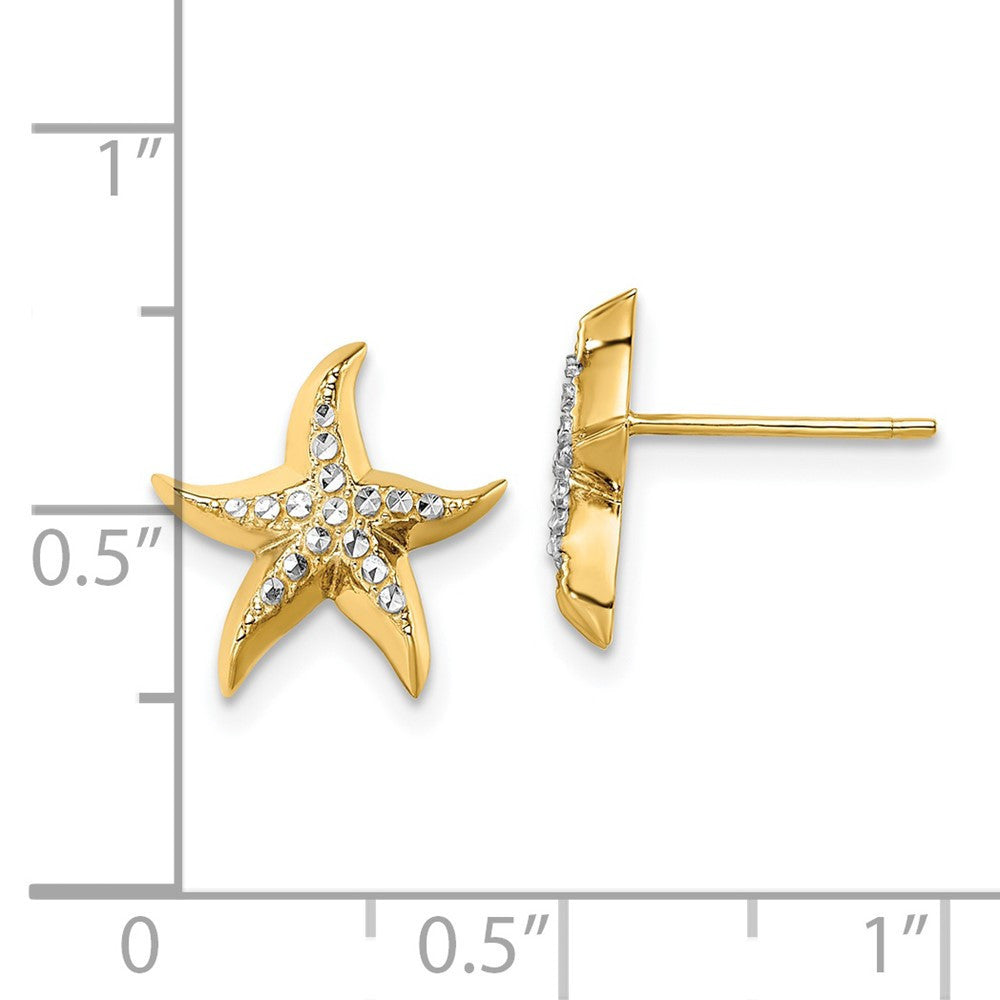 14k Yellow Gold w/Rhodium Starfish Stud Earrings