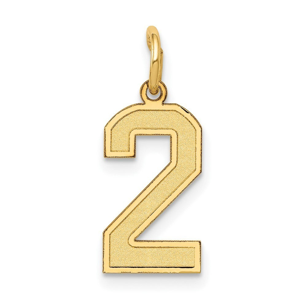 14k Yellow Gold Small Satin Number 2 Charm Pendant