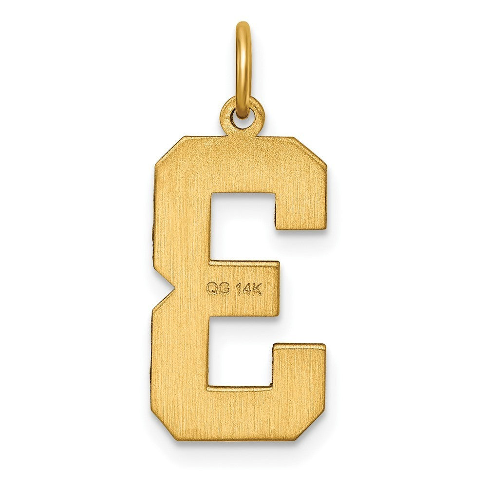 14k Yellow Gold Large Brushed Diamond-cut Number 3 Charm Pendant