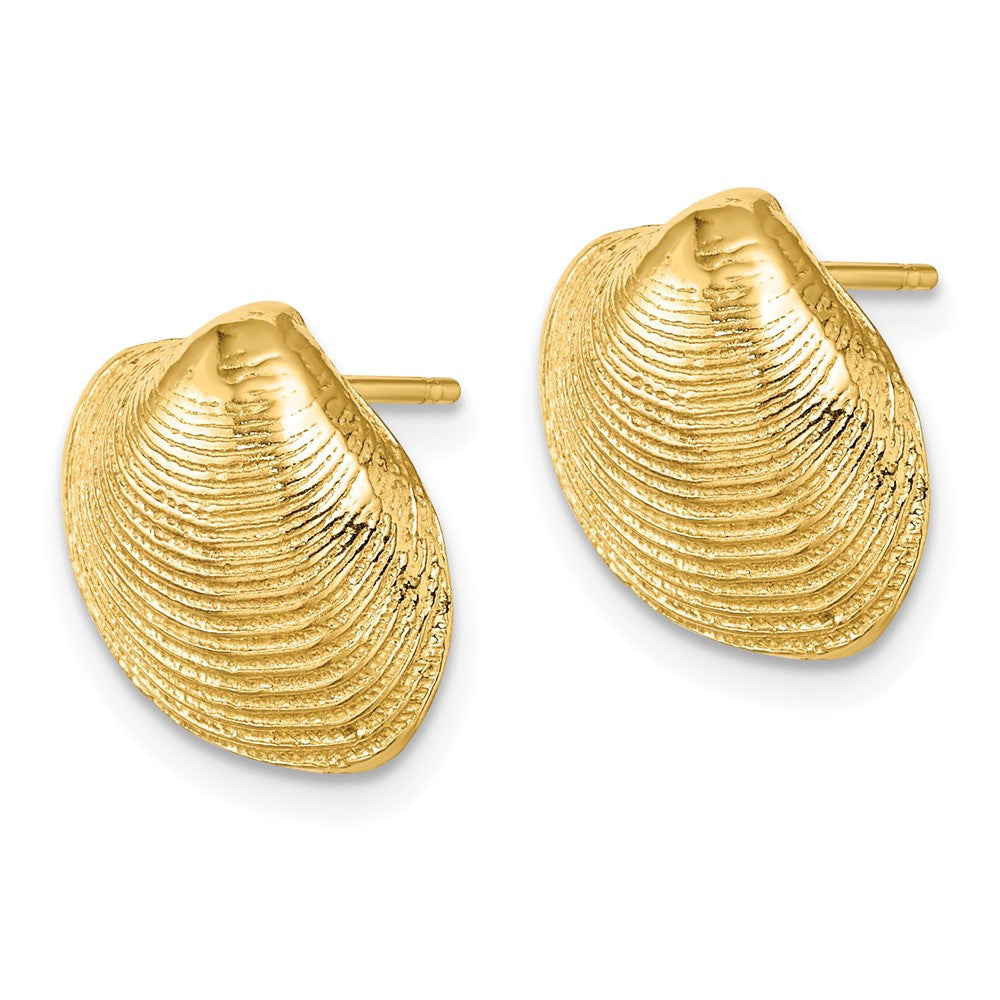 14k Yellow Gold Clam Shell Stud Earrings