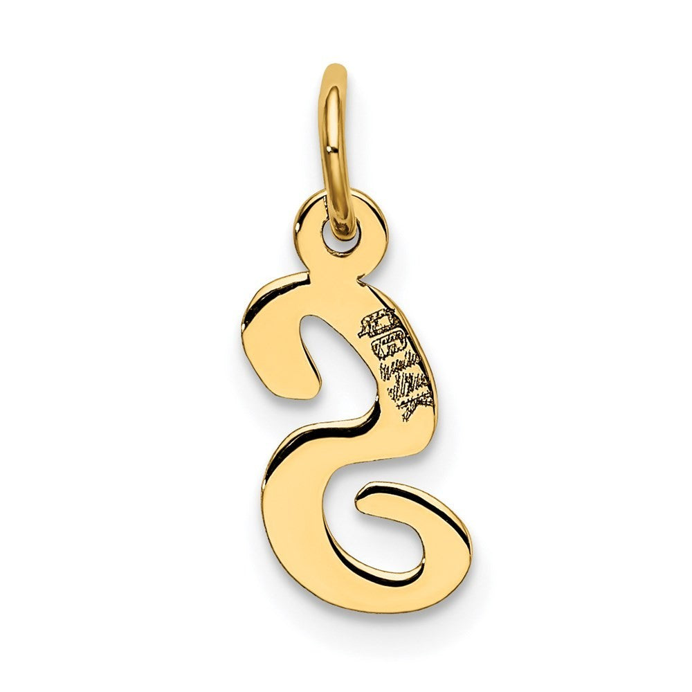 14k Yellow Gold Small Script Letter S Initial Charm Pendant