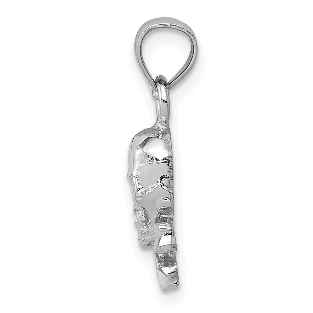 14k White Gold Skull and Crossbones Pendant