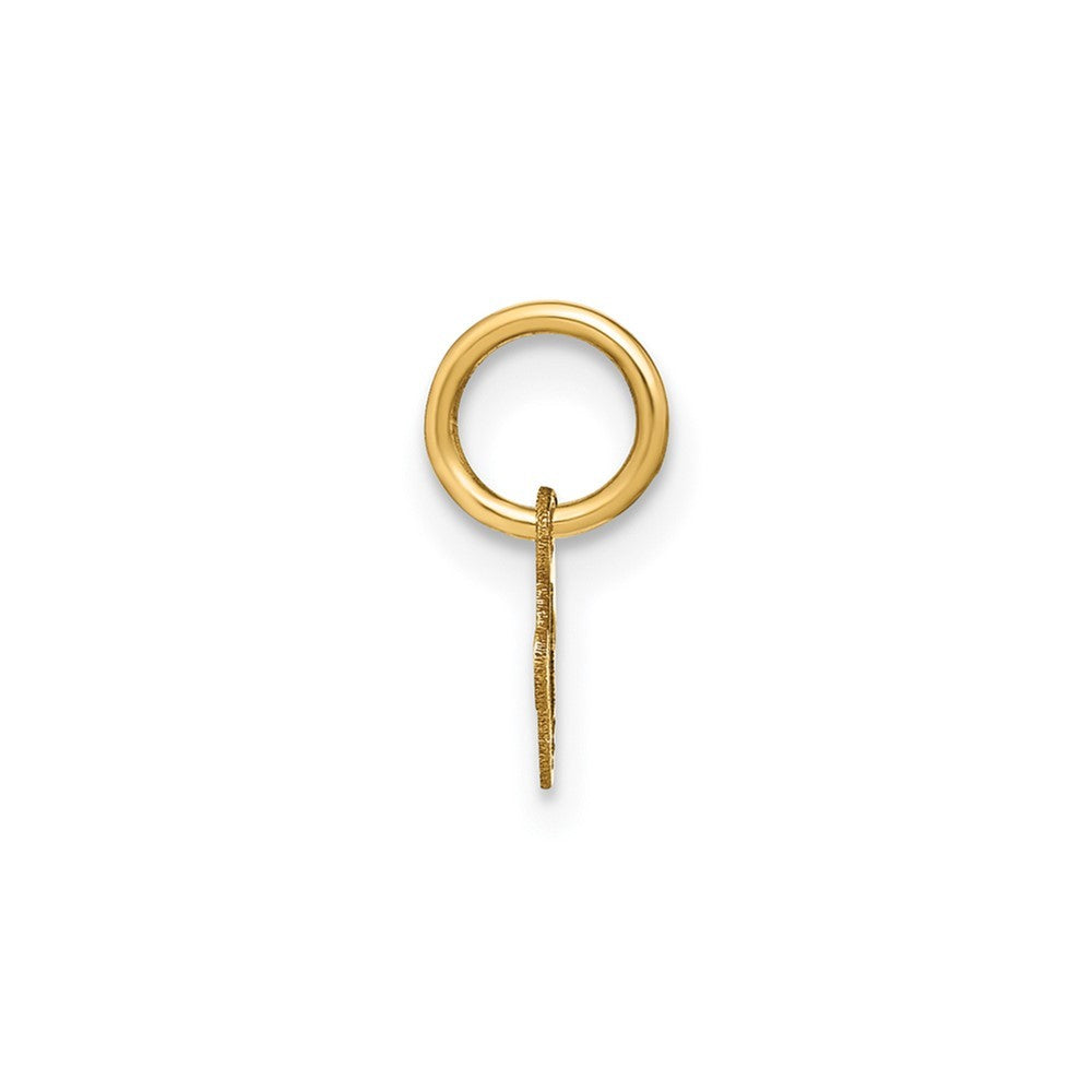 14k Yellow Gold Lower case Letter V Initial Charm Pendant