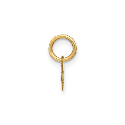14k Yellow Gold Lower case Letter V Initial Charm Pendant