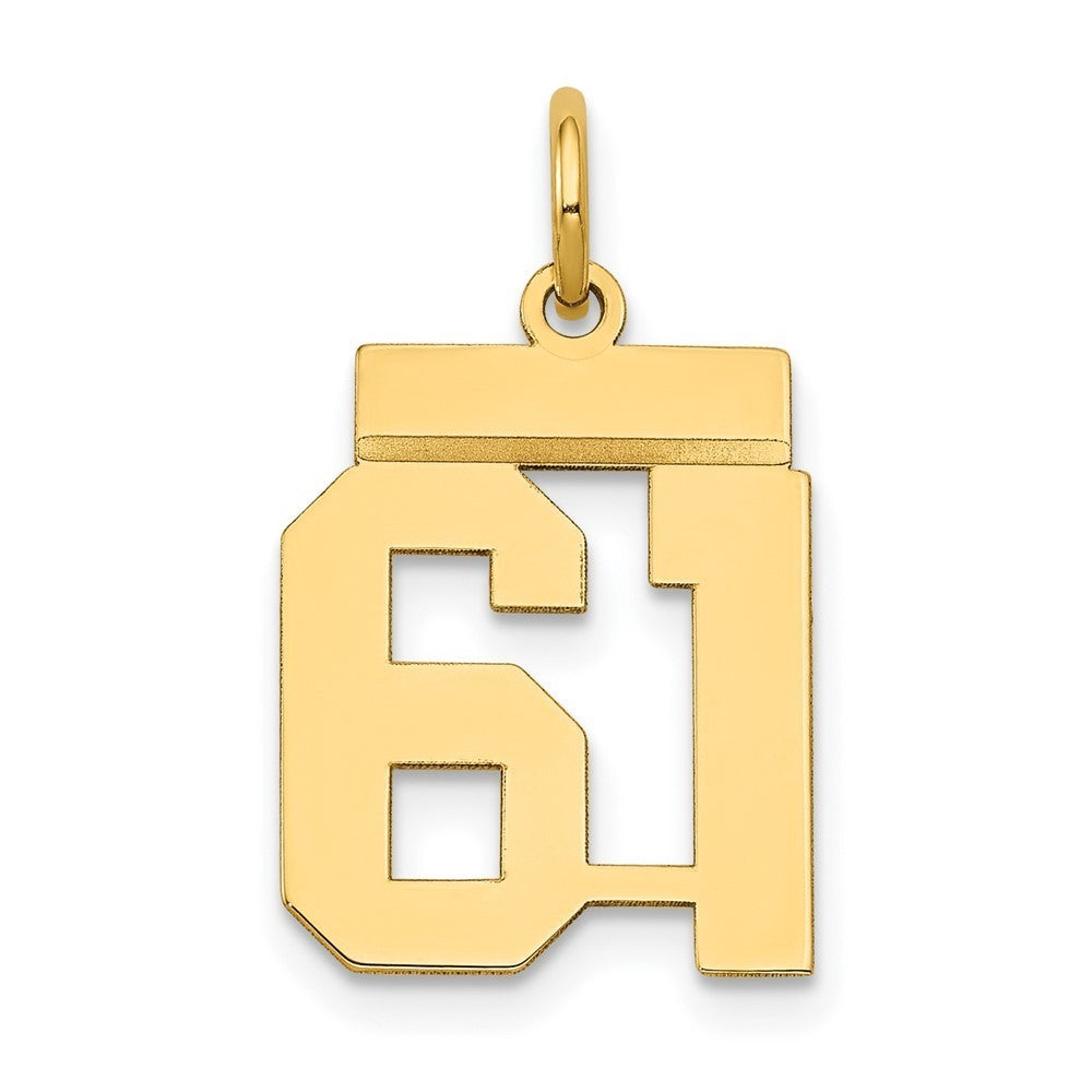 14k Yellow Gold Small Polished Number 61 Charm Pendant