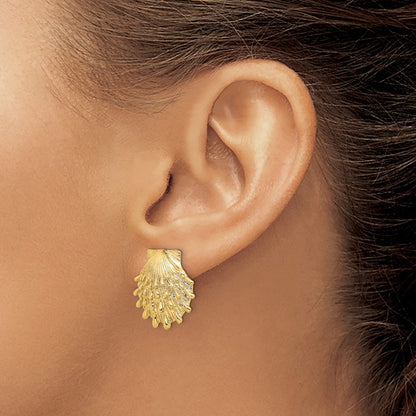 14k Yellow Gold Lion's Paw Shell Stud Earrings