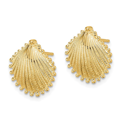 14k Yellow Gold Scallop Shell Stud Earrings