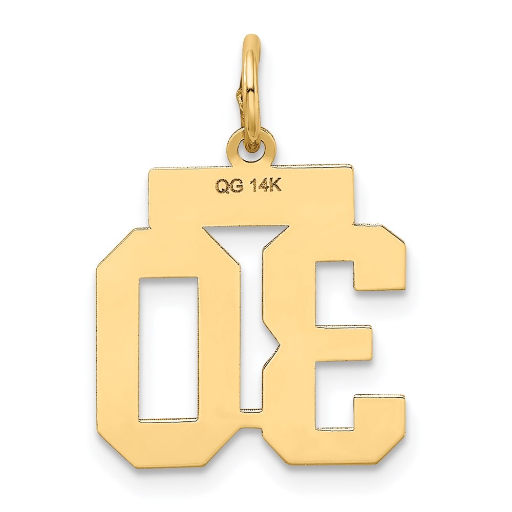 14k Yellow Gold Small Satin Number 30 Charm Pendant