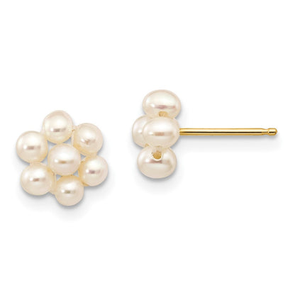 14k Yellow Gold 2-3mm White Egg Freshwater Cultured Pearl Flower Stud Earrings