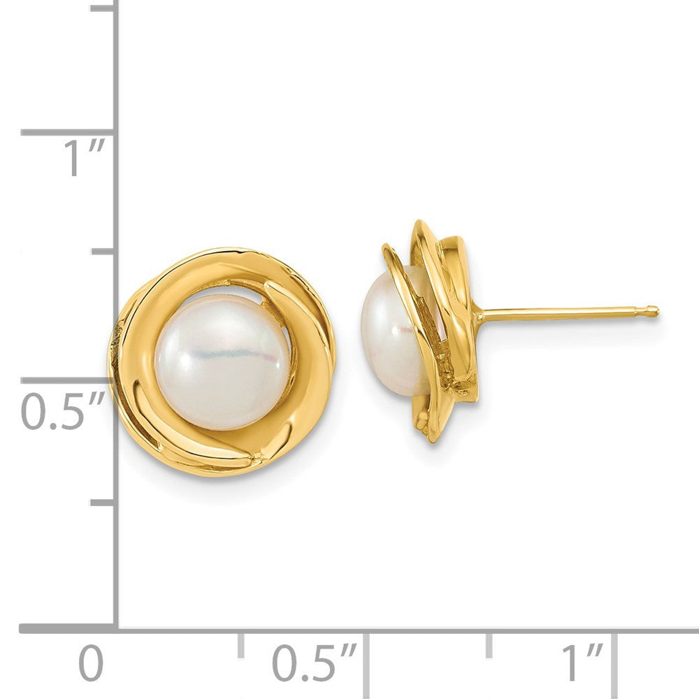 14k Yellow Gold 6-7mm White Button Freshwater Cultured Pearl Stud Earrings