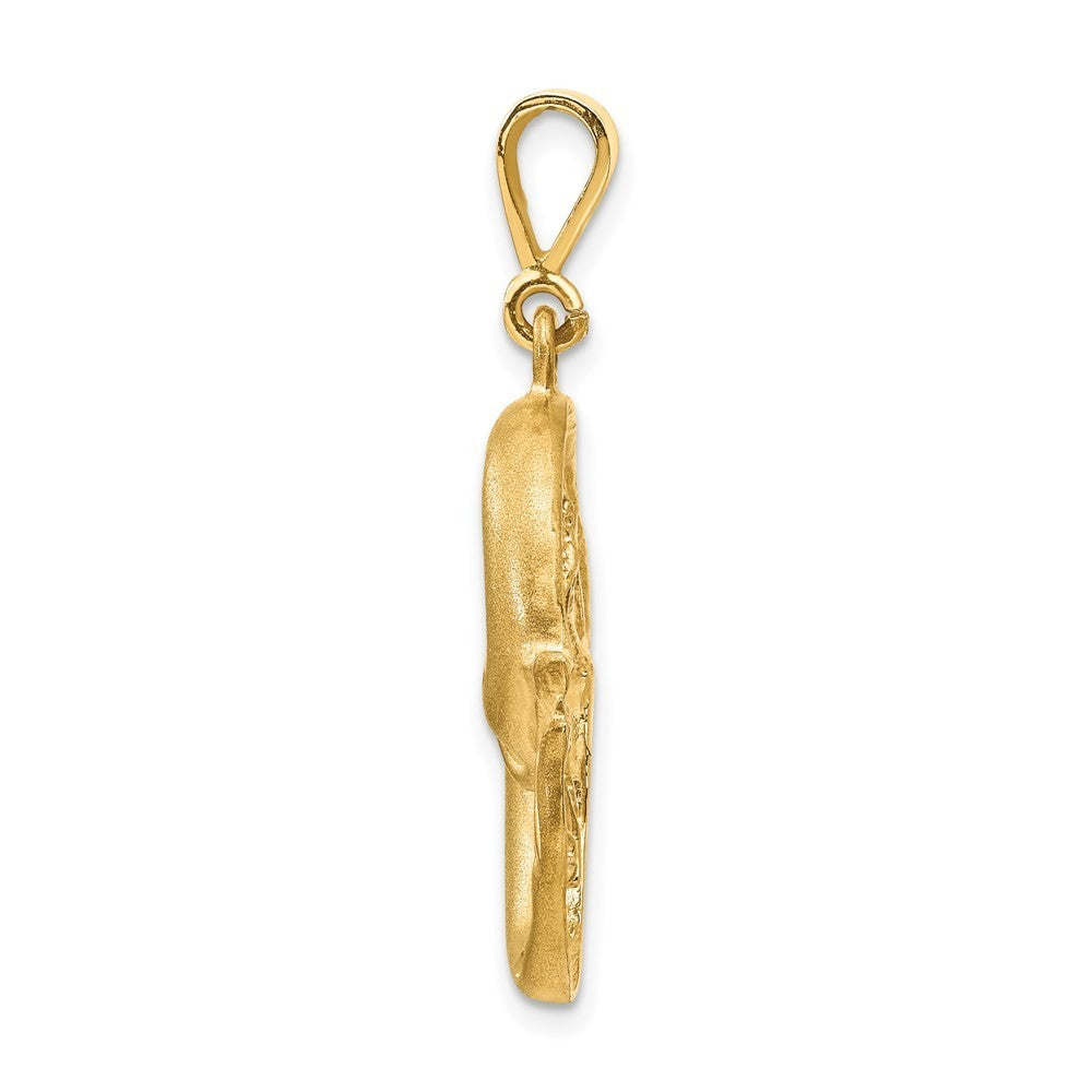 14k Yellow Gold Satin Diamond-cut Pisces Zodiac Charm Pendant
