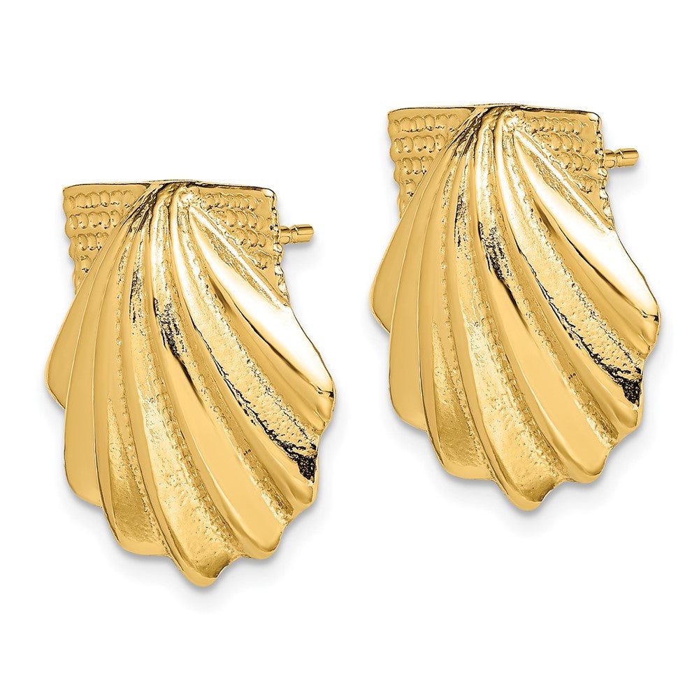 14k Yellow Gold Scallop Shell Stud Earrings