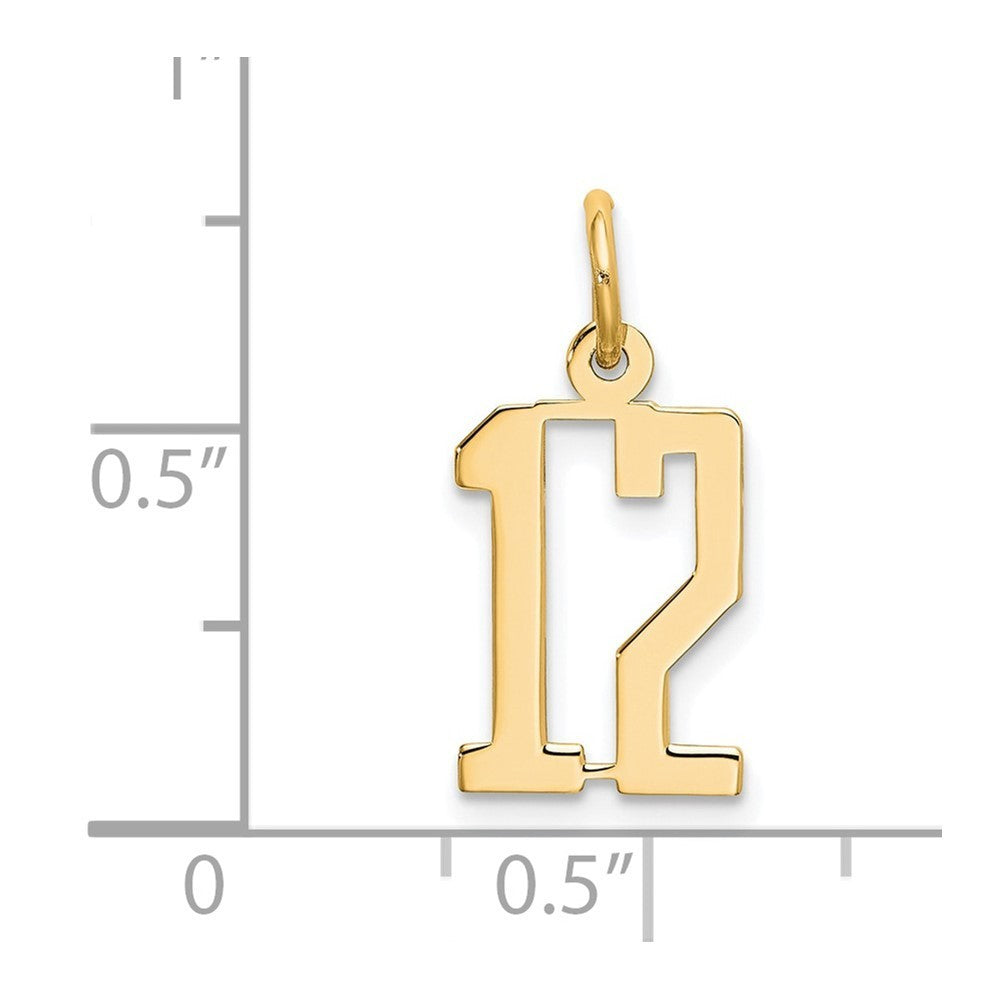 14k Yellow Gold Small Elongated Number 12 Charm Pendant