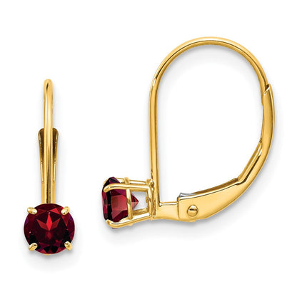 14k Yellow Gold Garnet Dangle Earrings - January