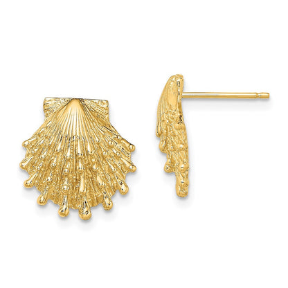 14k Yellow Gold Lion's Paw Shell Stud Earrings