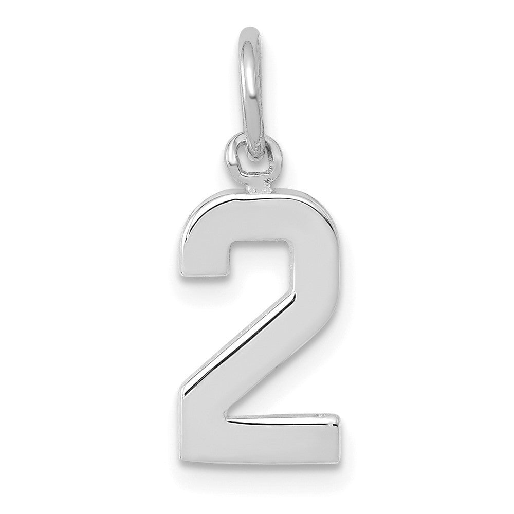 14k White Gold Small Polished Number 2 Charm Pendant