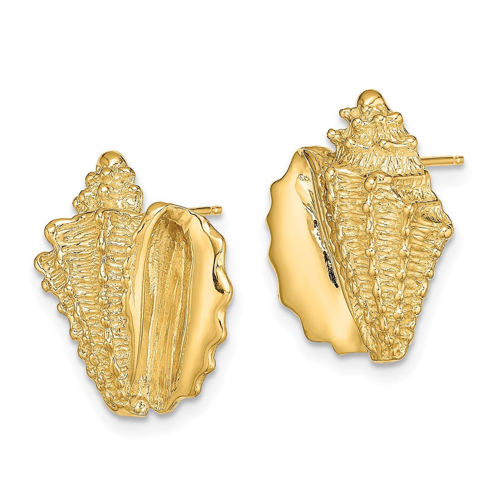 14k Yellow Gold 2-D Conch Shell Stud Earrings