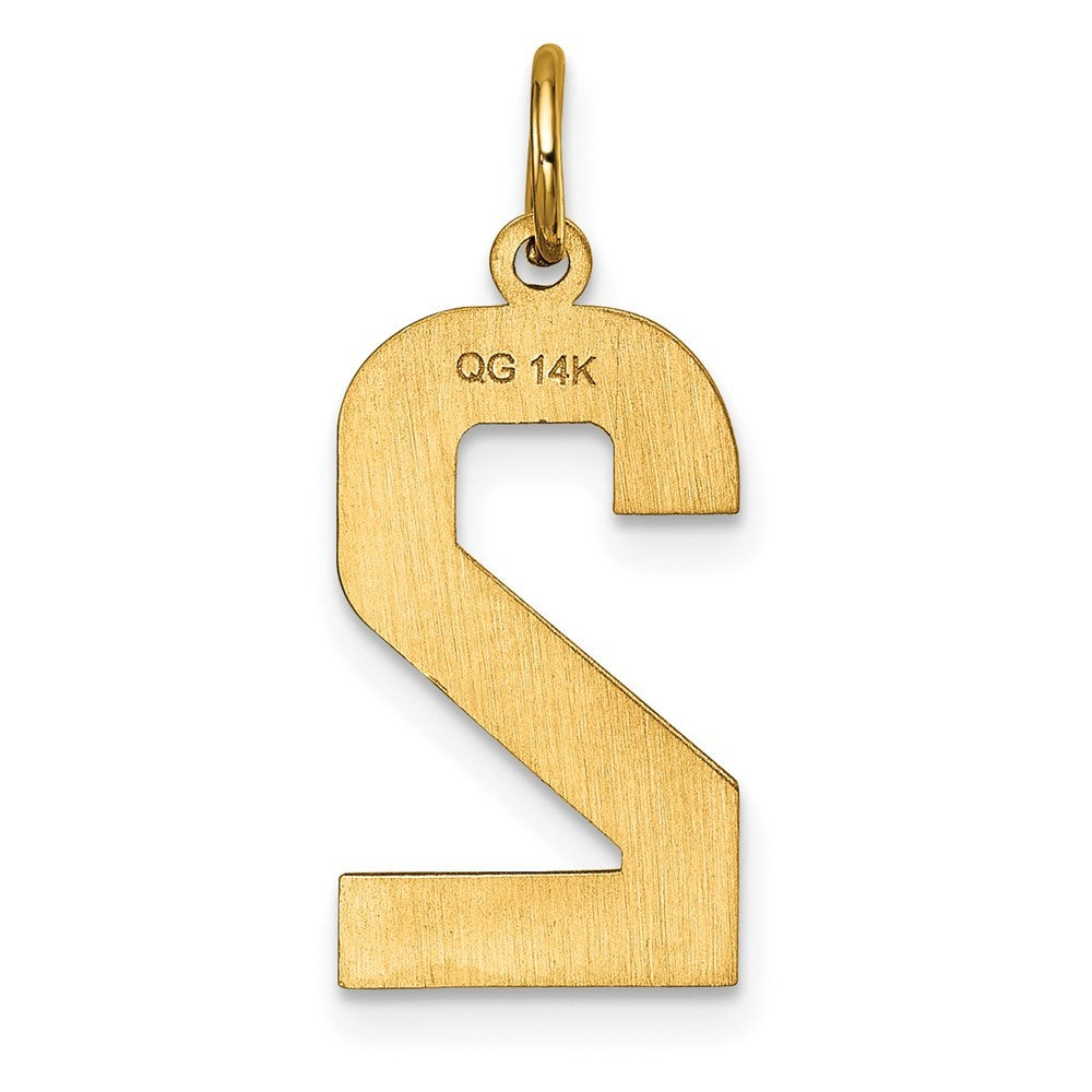 14k Yellow Gold Large Brushed Diamond-cut Number 2 Charm Pendant