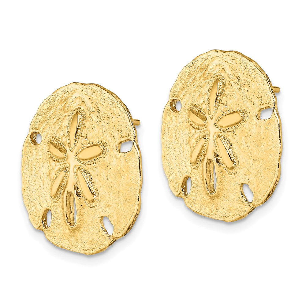 14k Yellow Gold Polished Sand Dollar Stud Earrings
