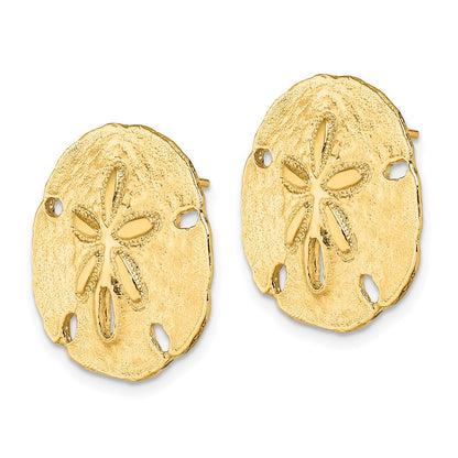 14k Yellow Gold Polished Sand Dollar Stud Earrings
