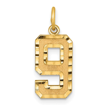 14k Yellow Gold Medium Diamond-cut Number 9 Charm Pendant