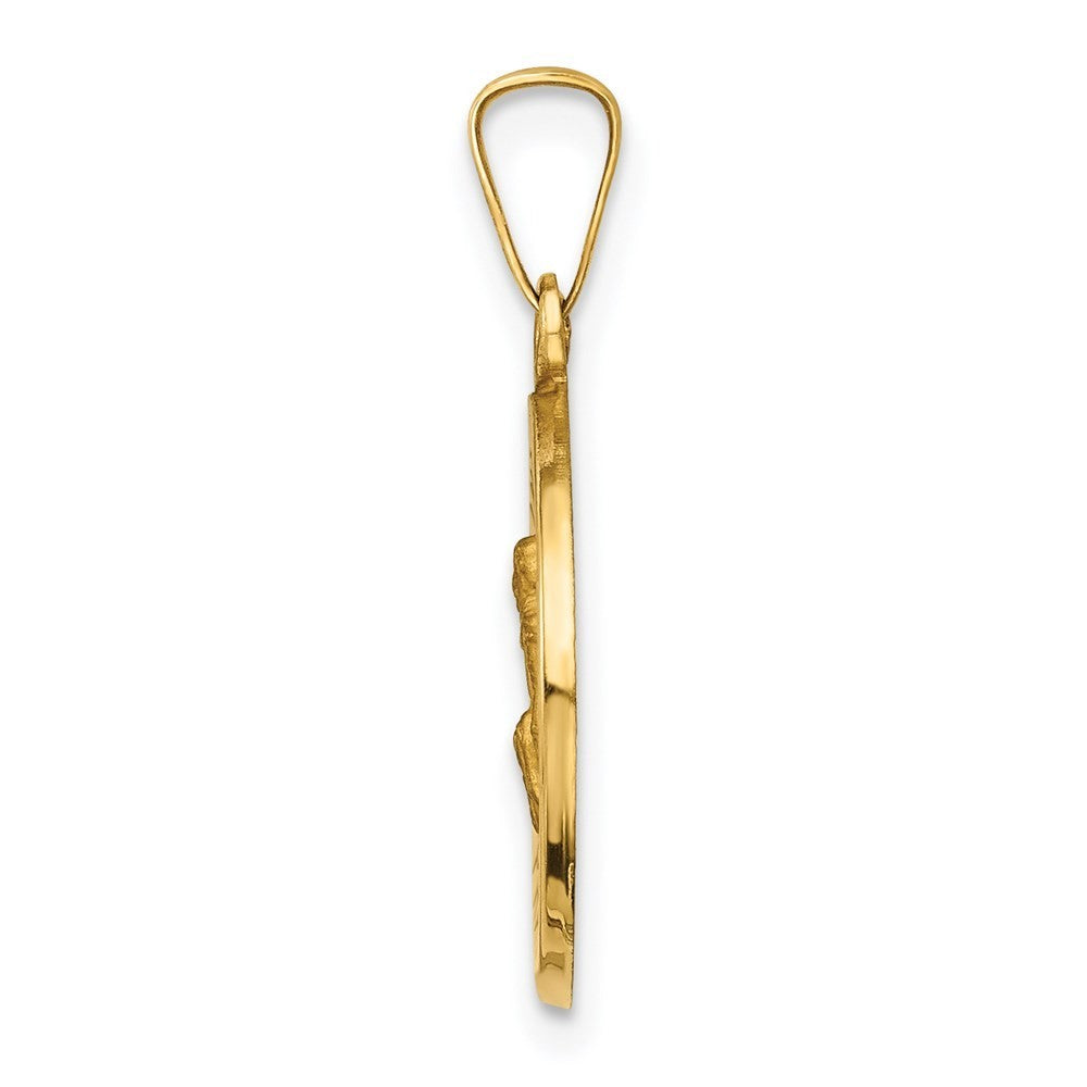 14k Yellow Gold Polished and Satin St Peregrine Medal Hollow Pendant