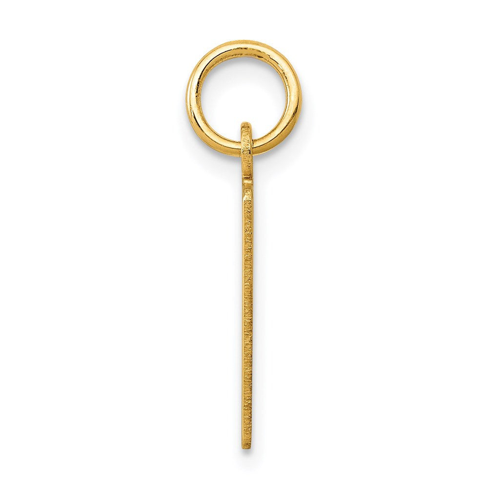 14k Yellow Gold Small Elongated Number 29 Charm Pendant