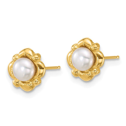 14k Yellow Gold Polished 4-5mm Button Freshwater Cultured Pearl Stud Earrings