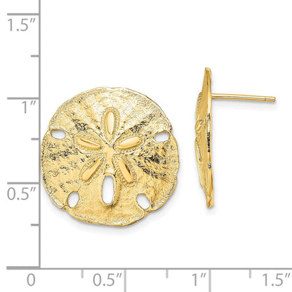 14k Yellow Gold Polished Sand Dollar Stud Earrings