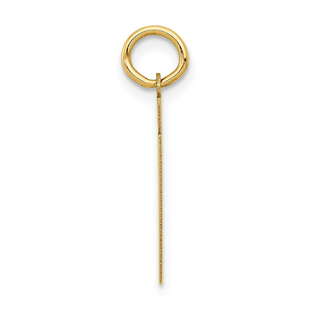 14k Yellow Gold Small Polished Number 61 Charm Pendant