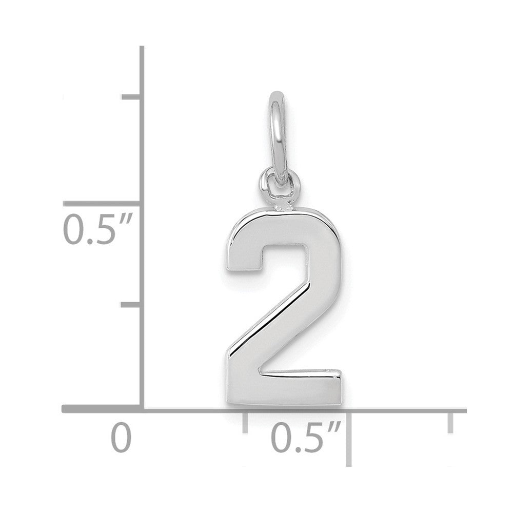 14k White Gold Small Polished Number 2 Charm Pendant